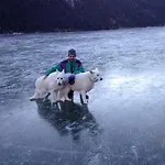 Haus Rosemarie Lägenhet