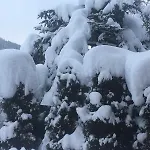 Lägenhet Haus Rosemarie