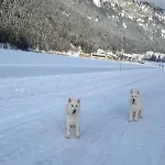 Haus Rosemarie * Nesselwängle