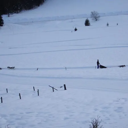 Haus Rosemarie Appartement *