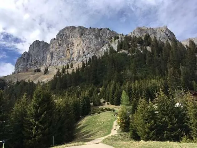 Haus Rosemarie 内塞尔旺勒