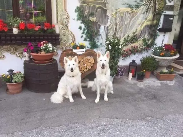 Haus Rosemarie Appartement