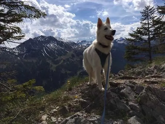 Haus Rosemarie Appartement Nesselwängle