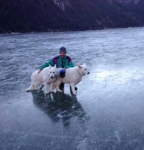 Haus Rosemarie Appartement