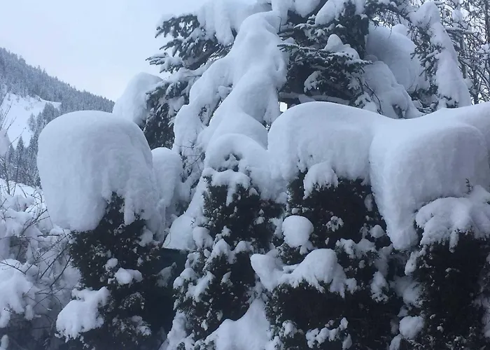 Appartement Haus Rosemarie