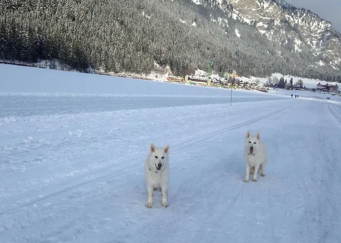 Haus Rosemarie * Nesselwängle