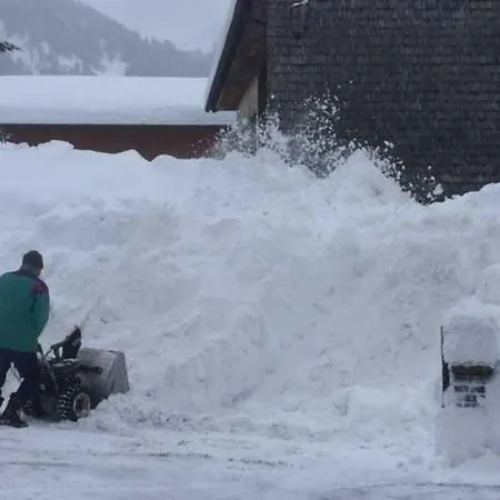 Apartamento Haus Rosemarie Nesselwängle