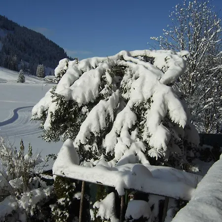 Haus Rosemarie Apartamento *