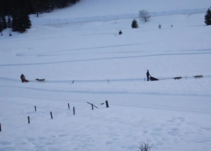 Haus Rosemarie דירה *